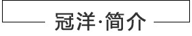 公司簡介